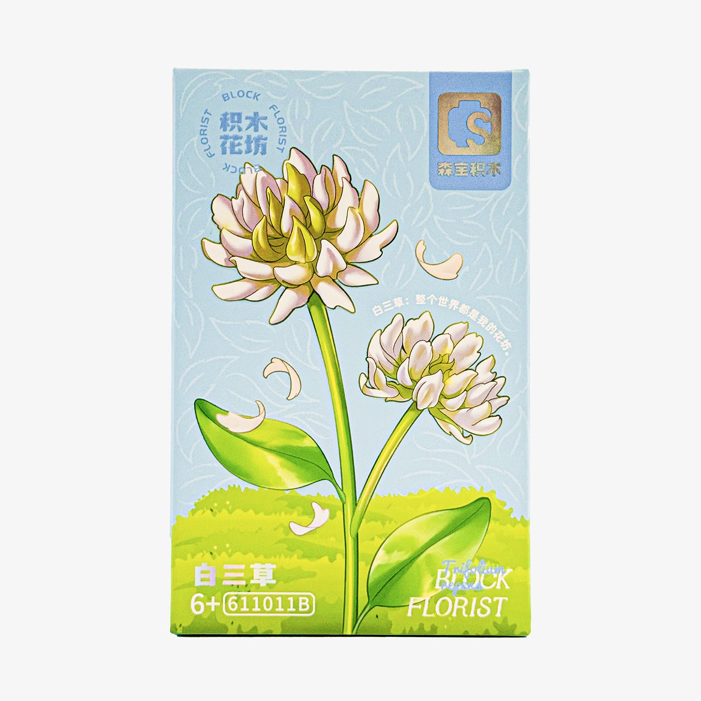Block Florist White Trifolium Repens