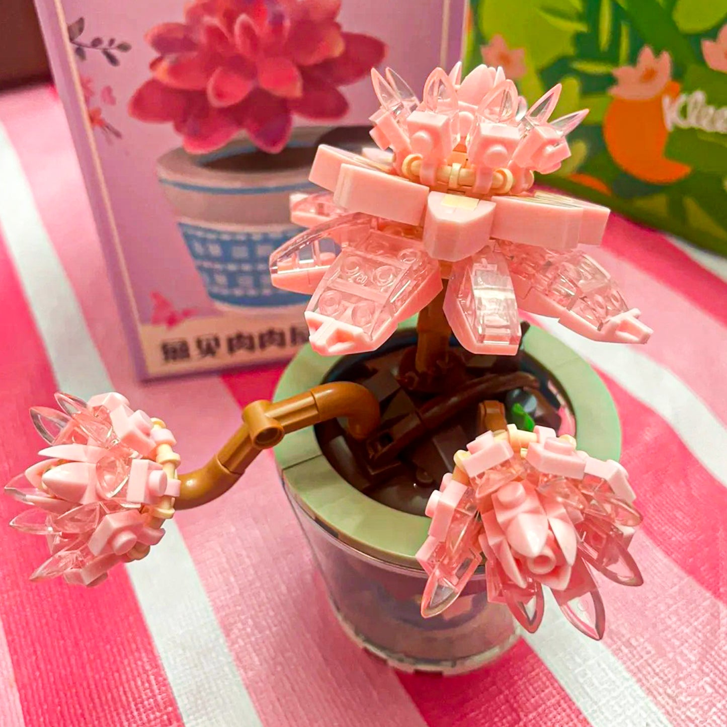 Healing Series Graptopelaum Paraguayense Succulent Plant Display Building Block Set