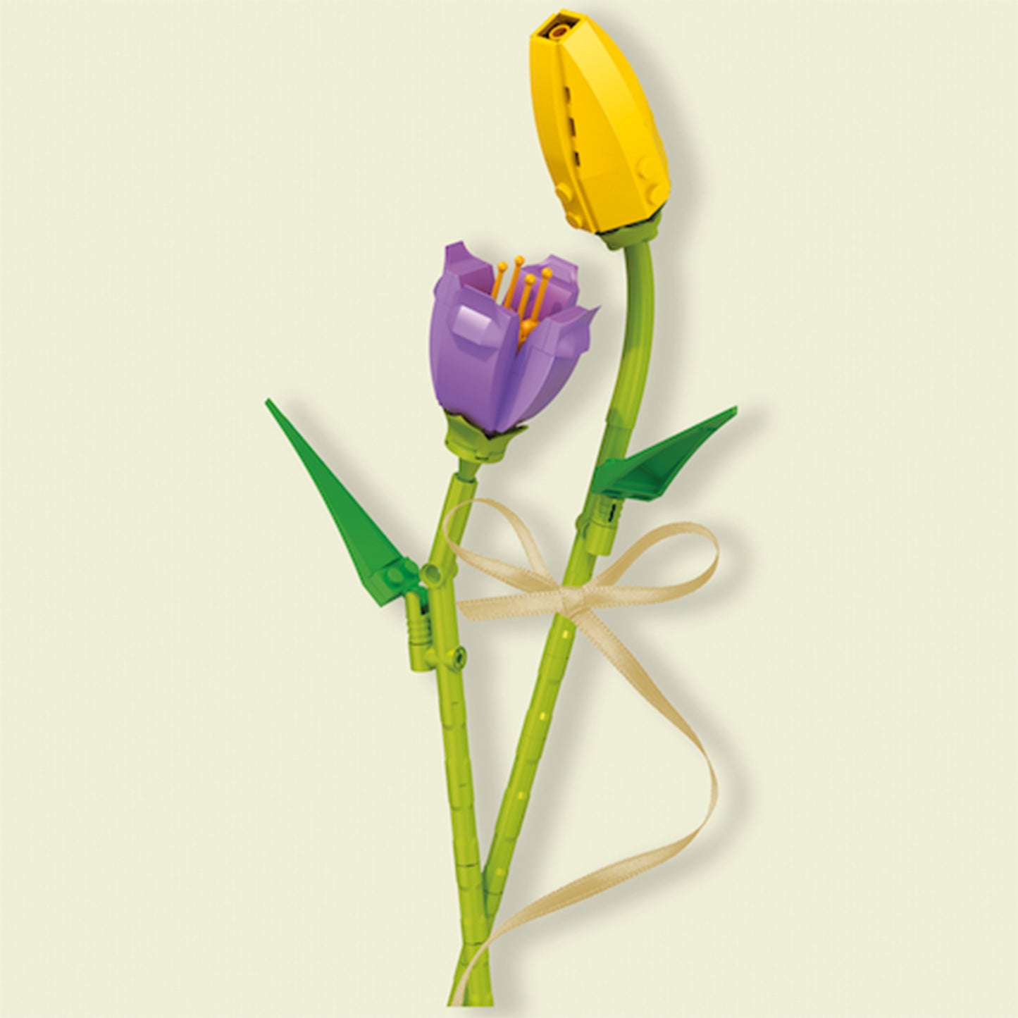 Block Florist Purple & Yellow Tulip