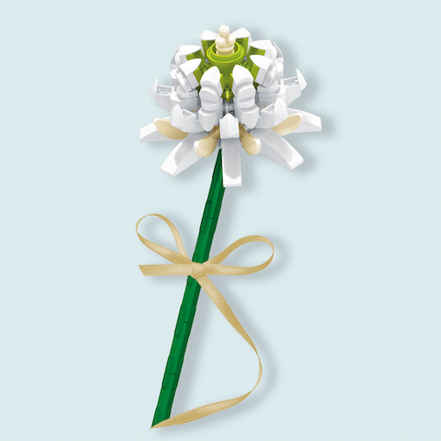 Block Florist White Trifolium Repens