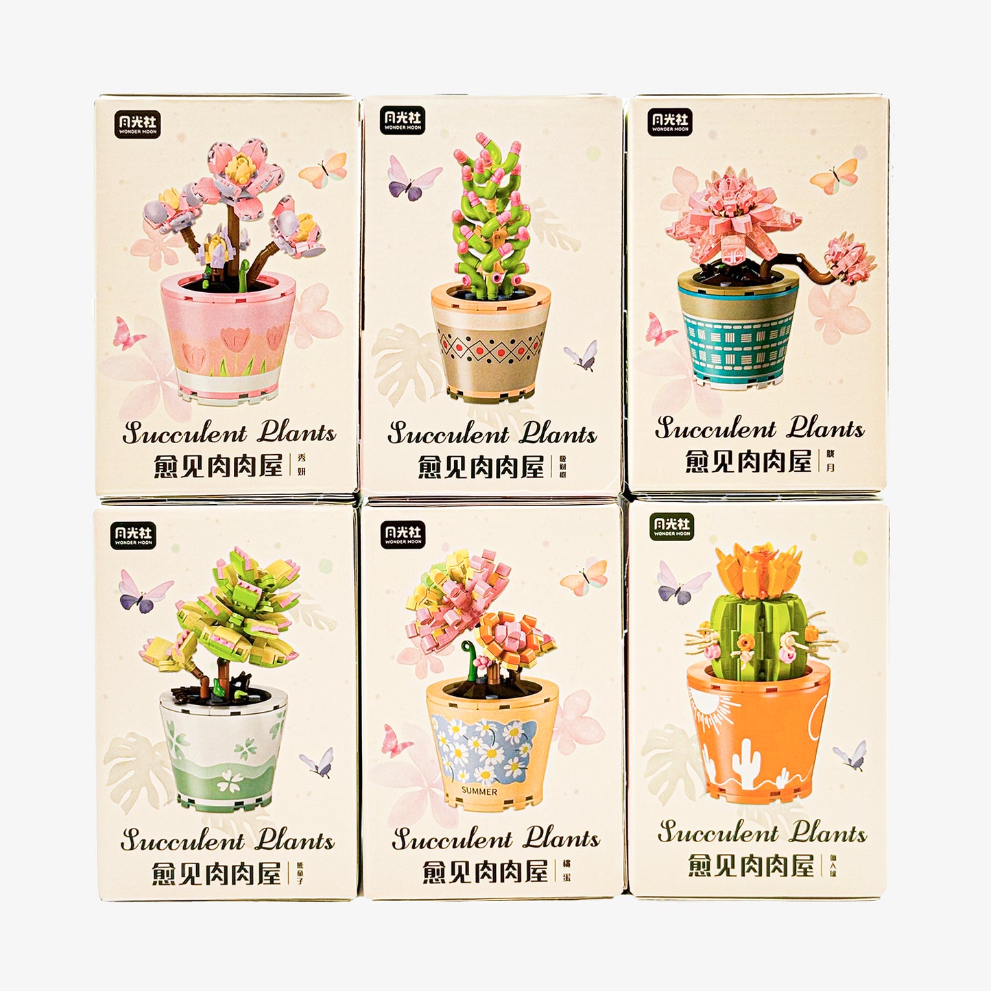 Healing Series Graptopelaum Paraguayense Succulent Plant Display Building Block Set