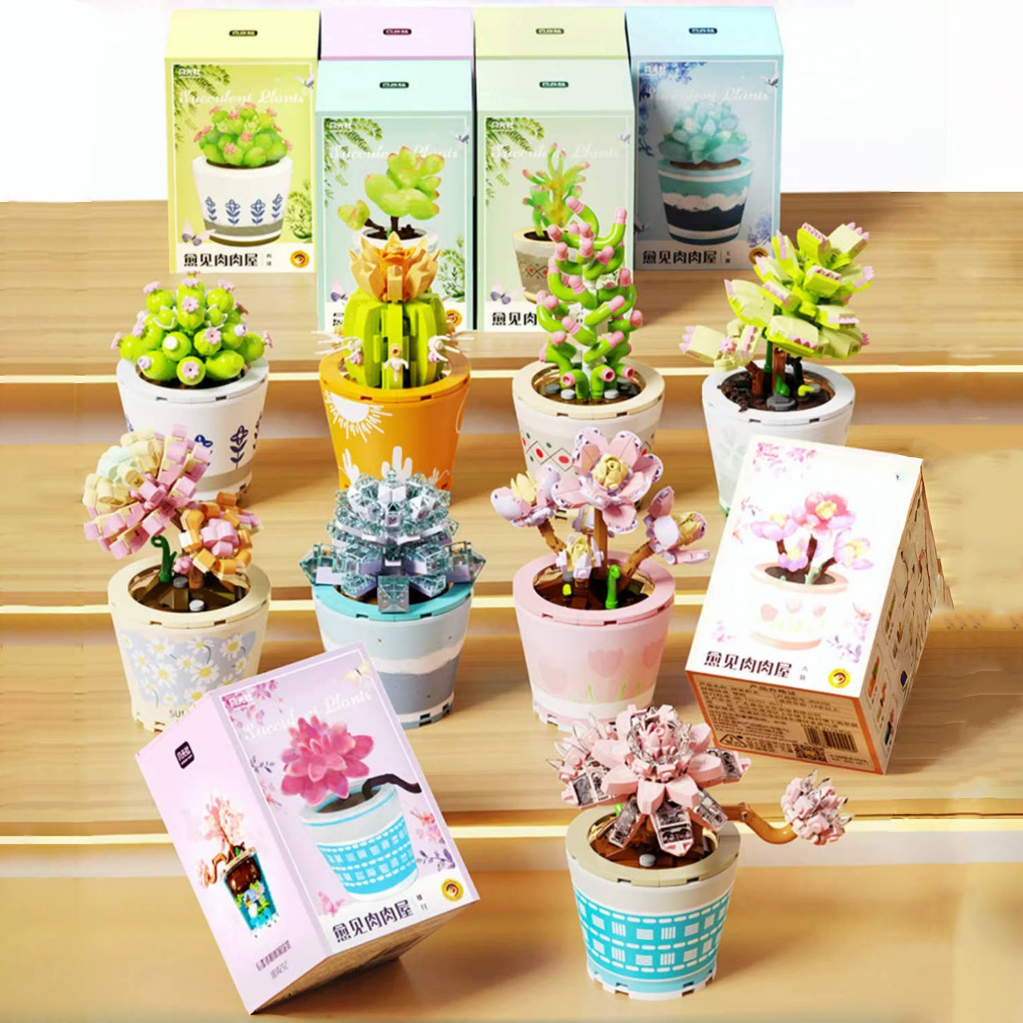 Healing Series Crassula Ovata 'Gollum' Succulent Plant Display Building Block Set