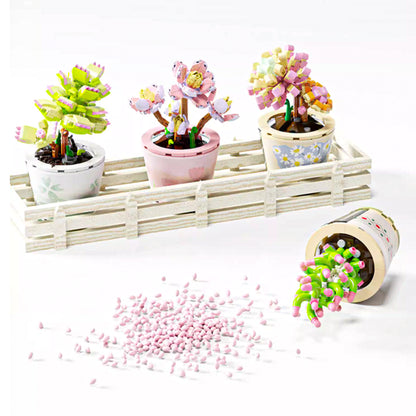 Healing Series Crassula Ovata 'Gollum' Succulent Plant Display Building Block Set