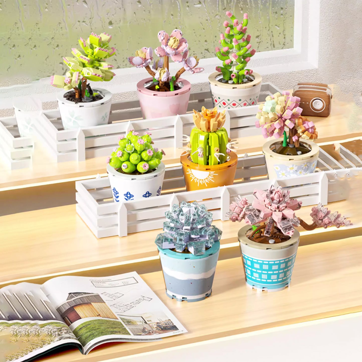Healing Series Crassula Ovata 'Gollum' Succulent Plant Display Building Block Set