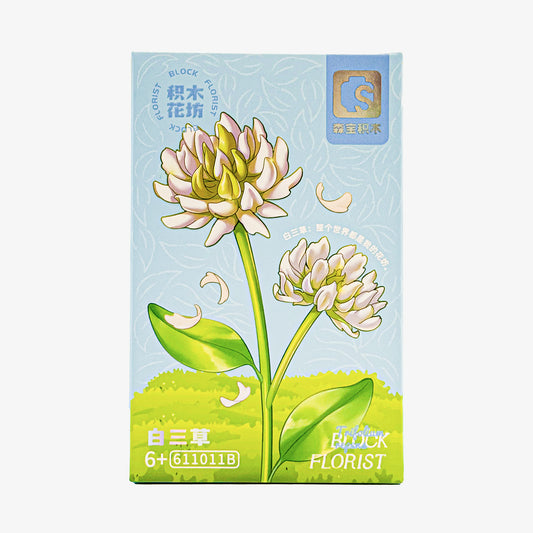 Block Florist White Trifolium Repens