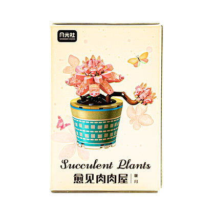 Healing Series Graptopelaum Paraguayense Succulent Plant Display Building Block Set